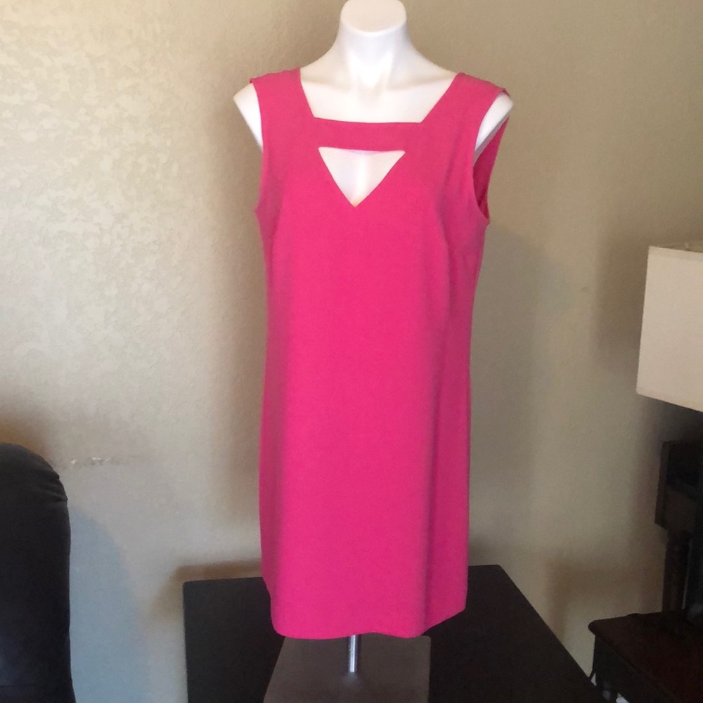 Hot pink mini Dress